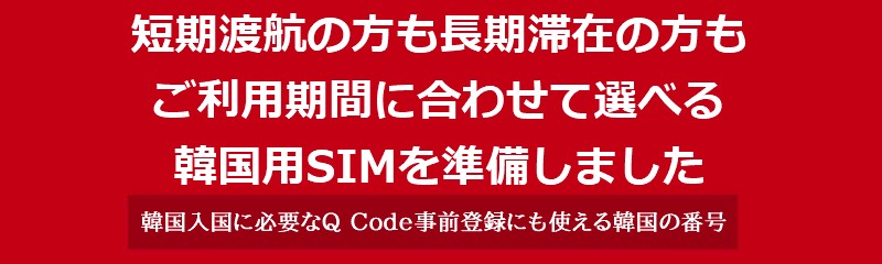 emergency_sim