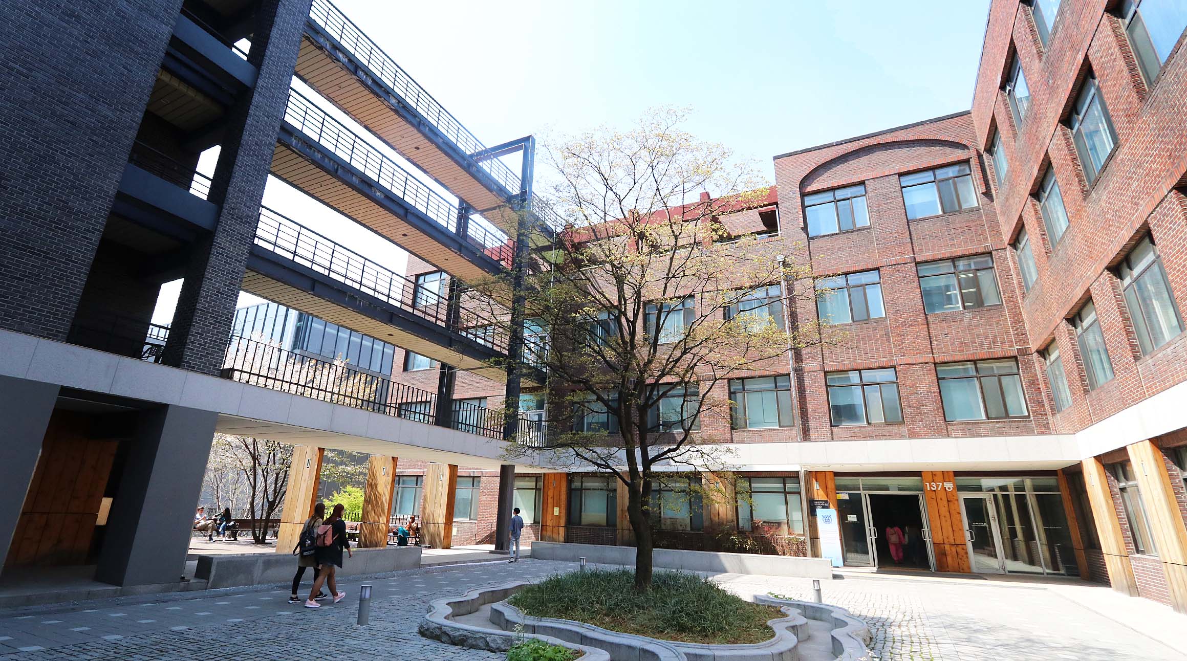 ソウル の 大学